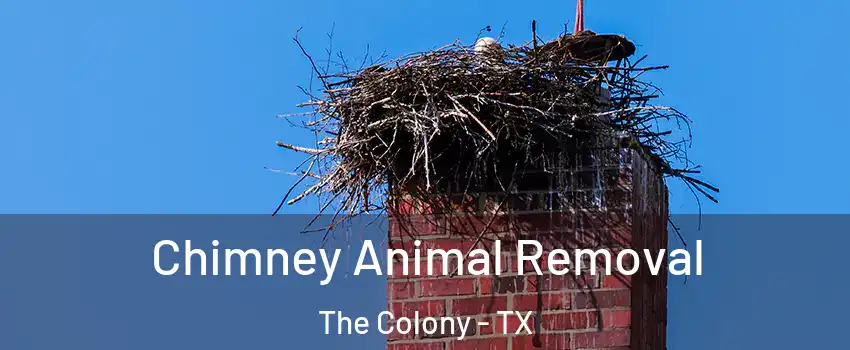 Chimney Animal Removal The Colony - TX