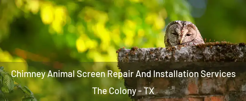  Chimney Animal Screen Repair And Installation Services The Colony - TX