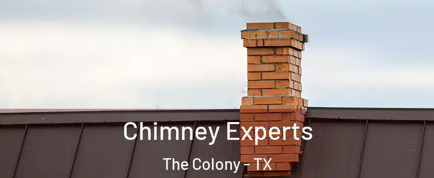 Chimney Experts The Colony - TX