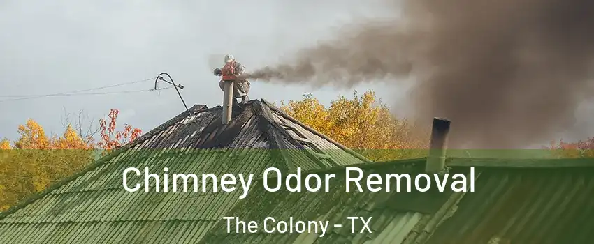  Chimney Odor Removal The Colony - TX