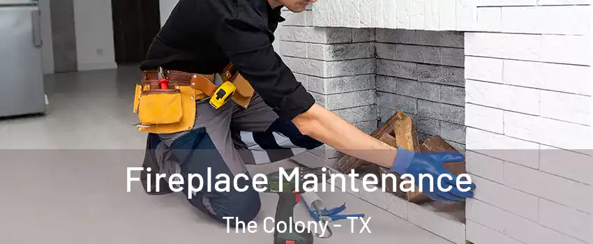  Fireplace Maintenance The Colony - TX