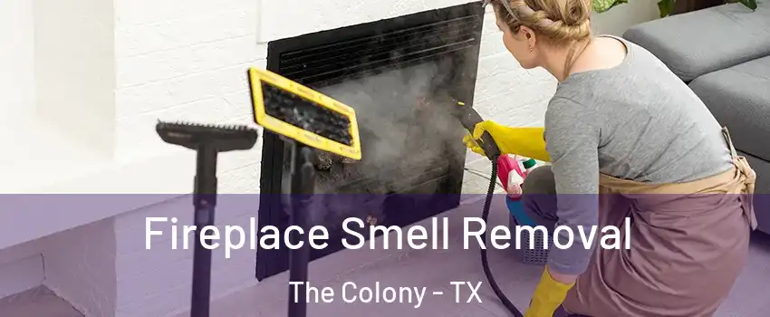  Fireplace Smell Removal The Colony - TX
