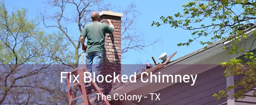  Fix Blocked Chimney The Colony - TX