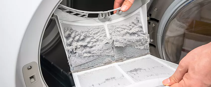 Best Dryer Lint Removal Company in The Colony, Texas