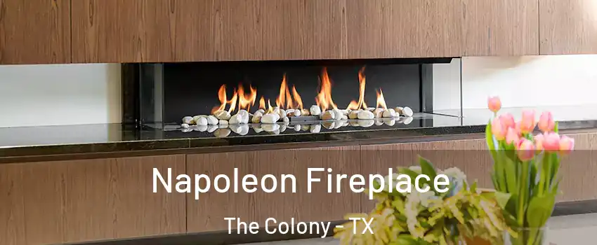 Napoleon Fireplace The Colony - TX
