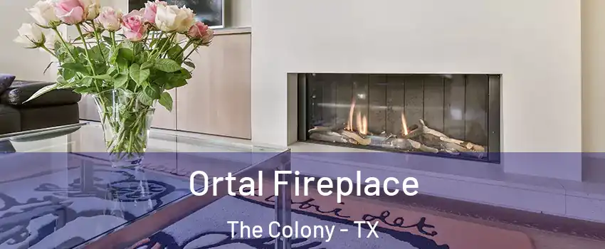  Ortal Fireplace The Colony - TX